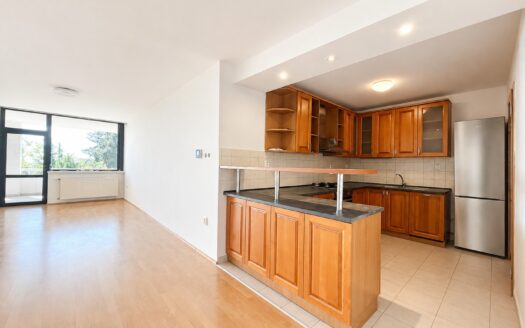 Spacious 2-bedroom apartment (163 m2) with a terrace (34 m2) on Údolná Street