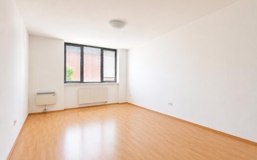 Spacious 2-bedroom apartment (163 m2) with a terrace (34 m2) on Údolná Street